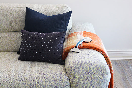 Tips for a Pet fur-free Home with Gleener